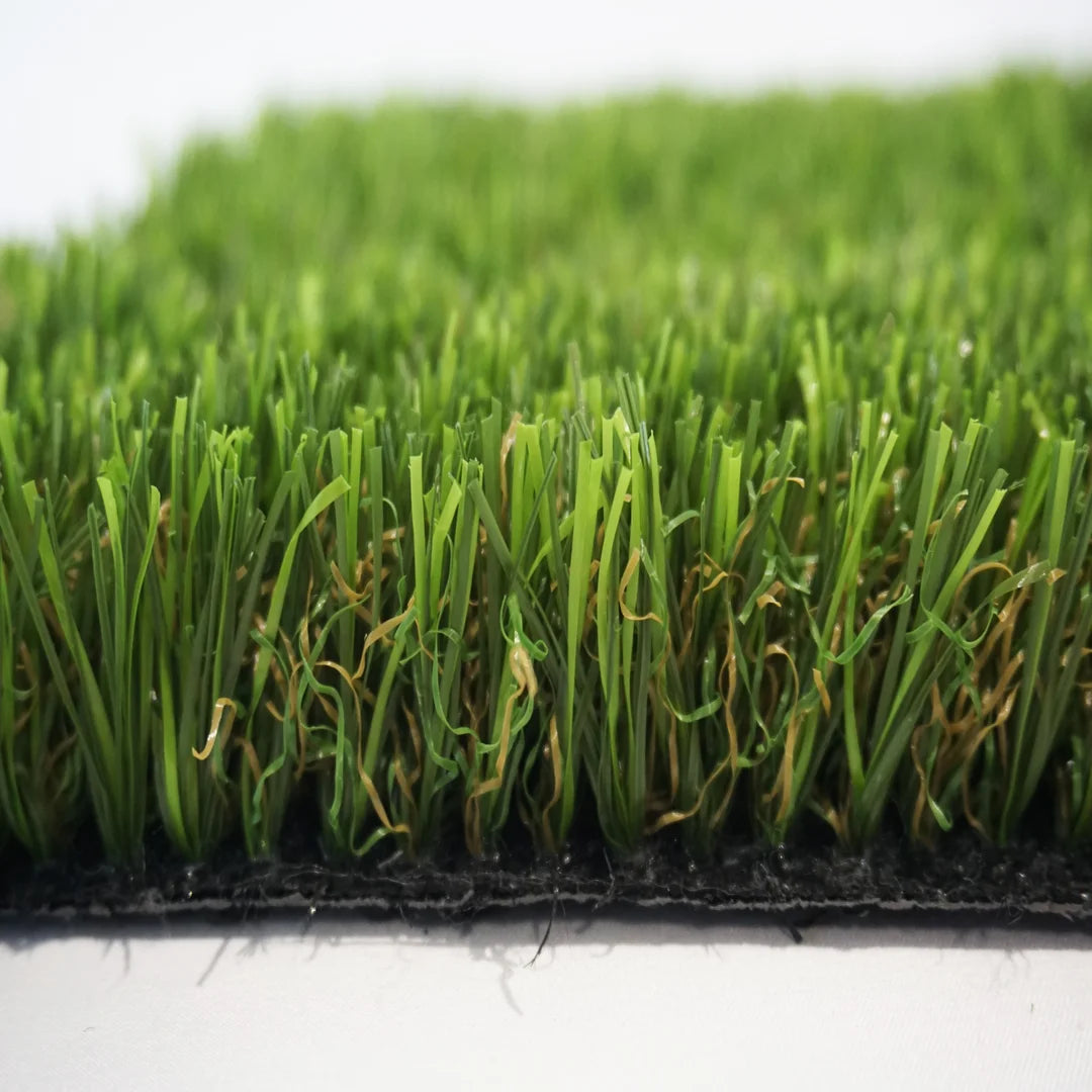 ALBERGRASS. Borneo 30