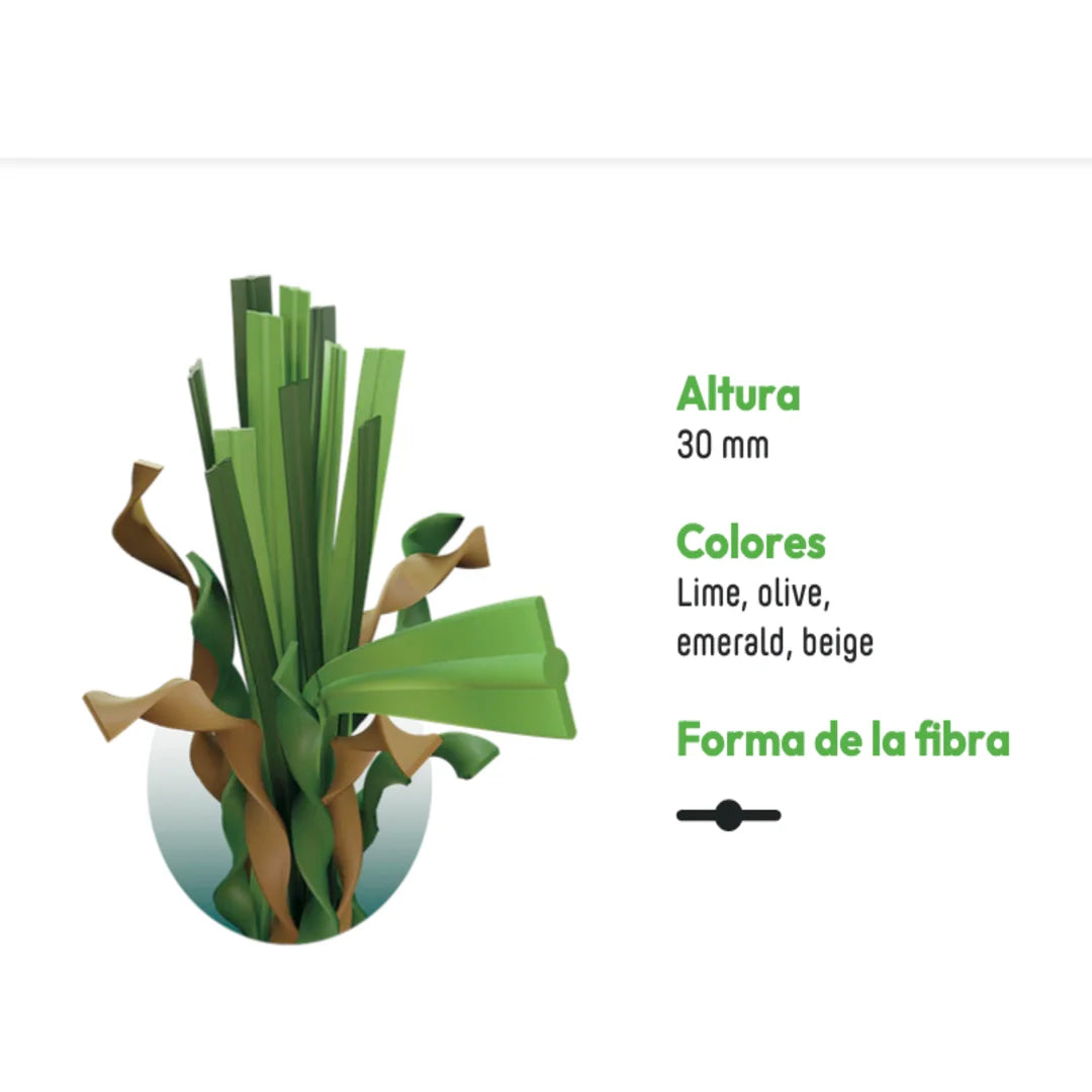 ALBERGRASS. Borneo 30