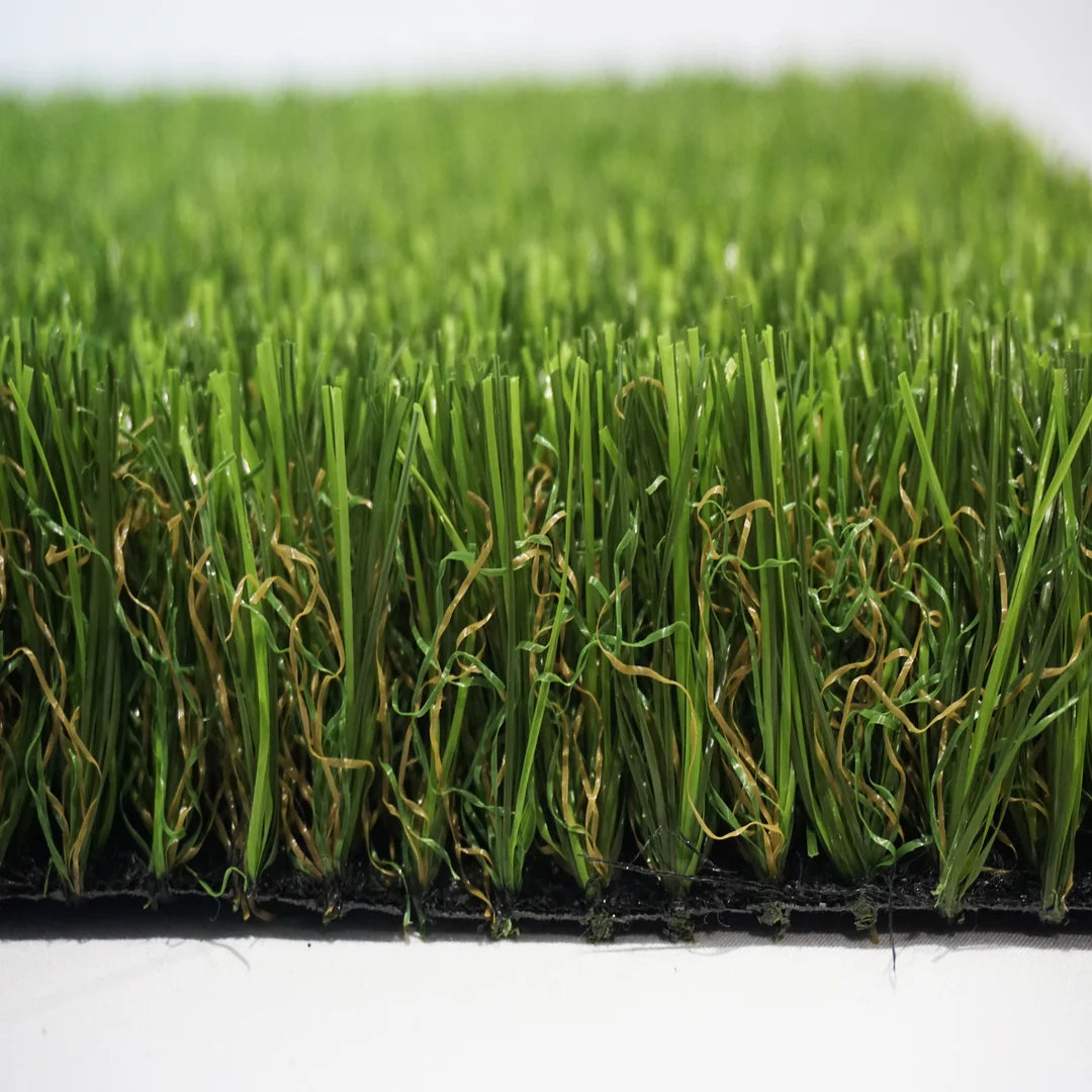 ALBERGRASS. Borneo 40
