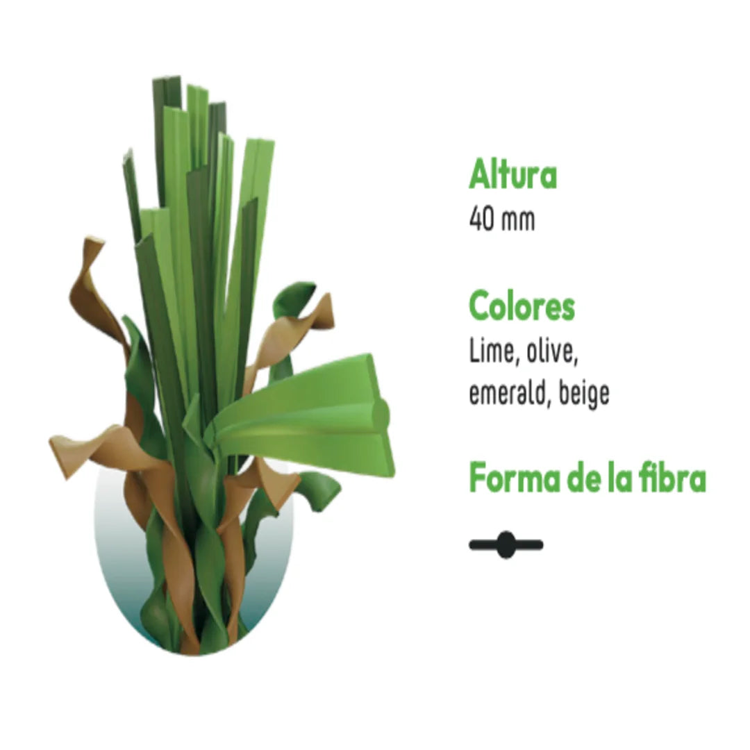 ALBERGRASS. Borneo 40