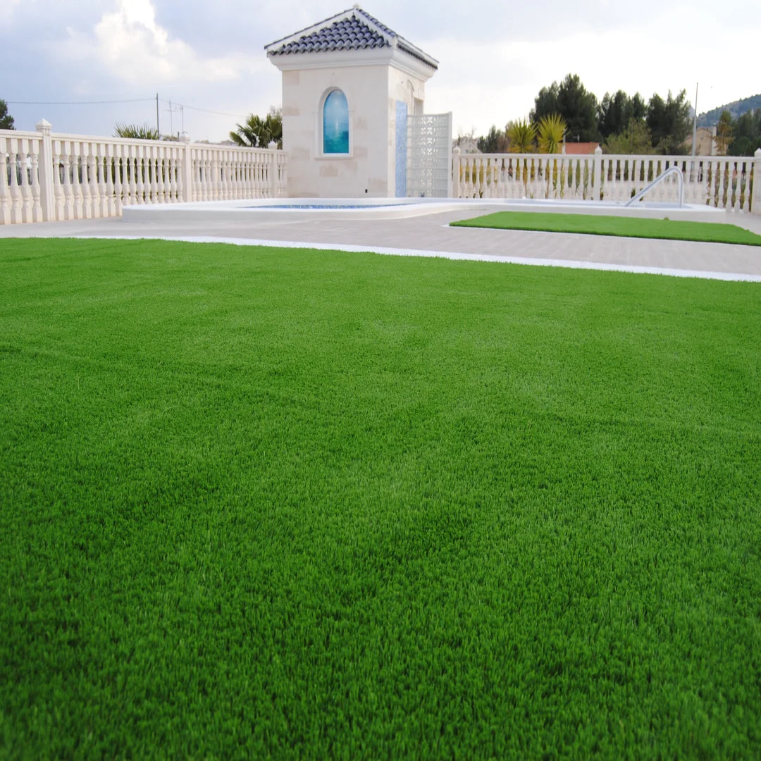 ALBERGRASS. Borneo 40