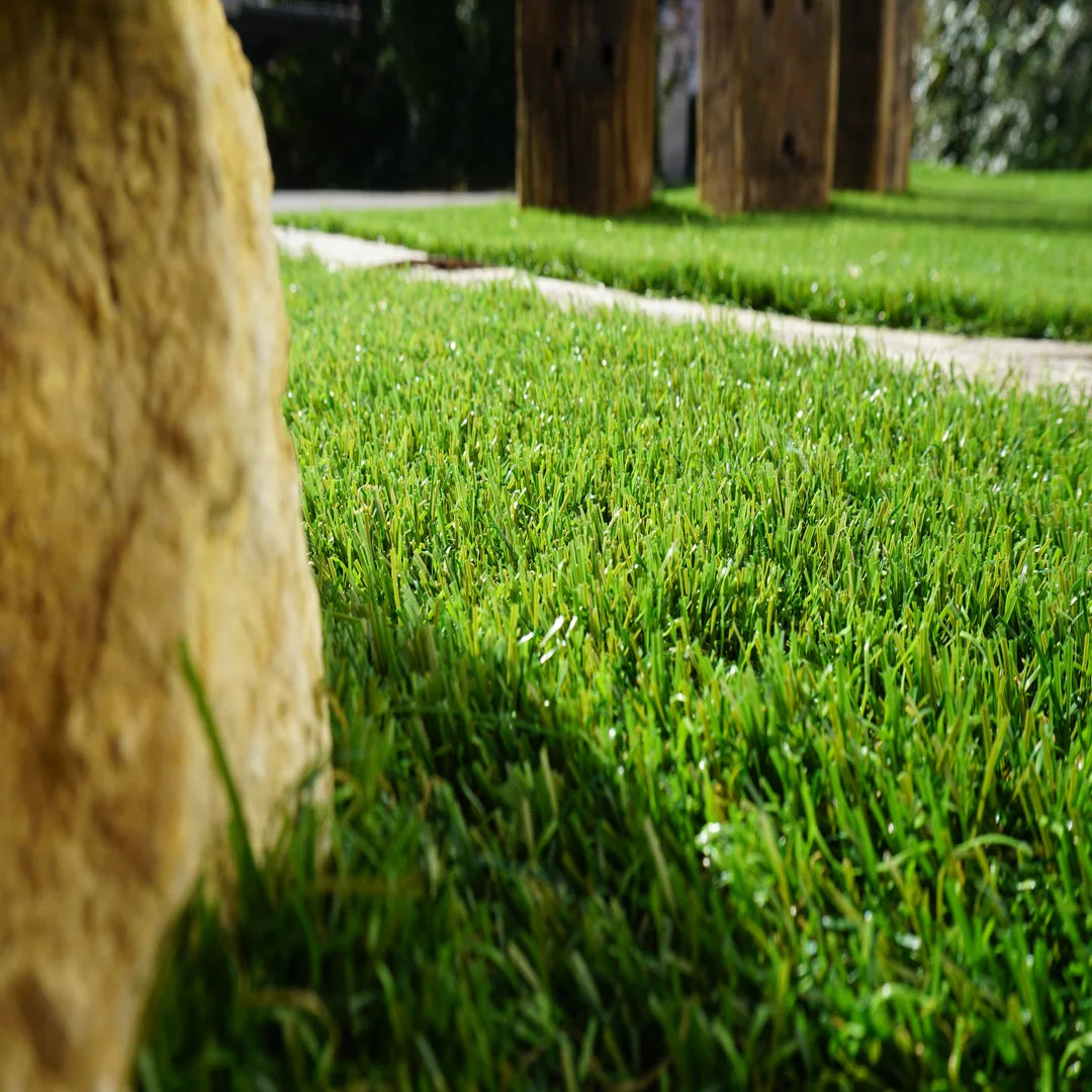 ALBERGRASS. Haizea 50