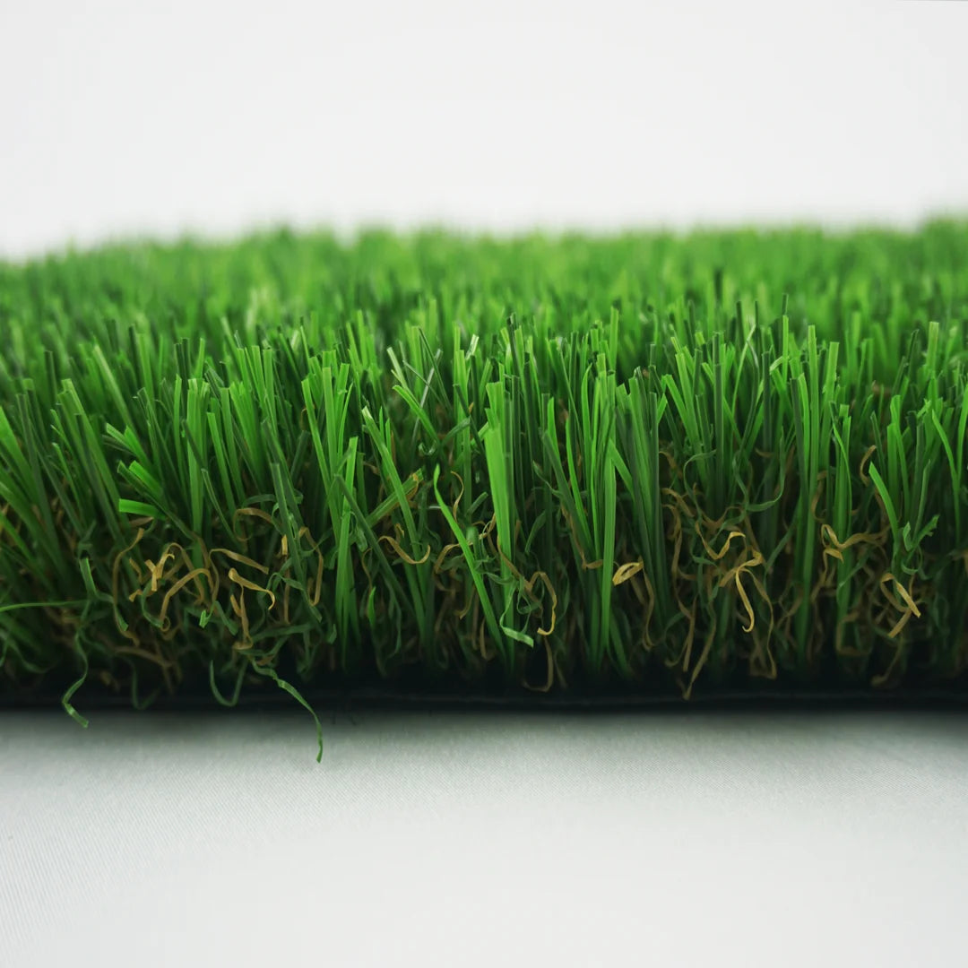 ALBERGRASS. Orión 37