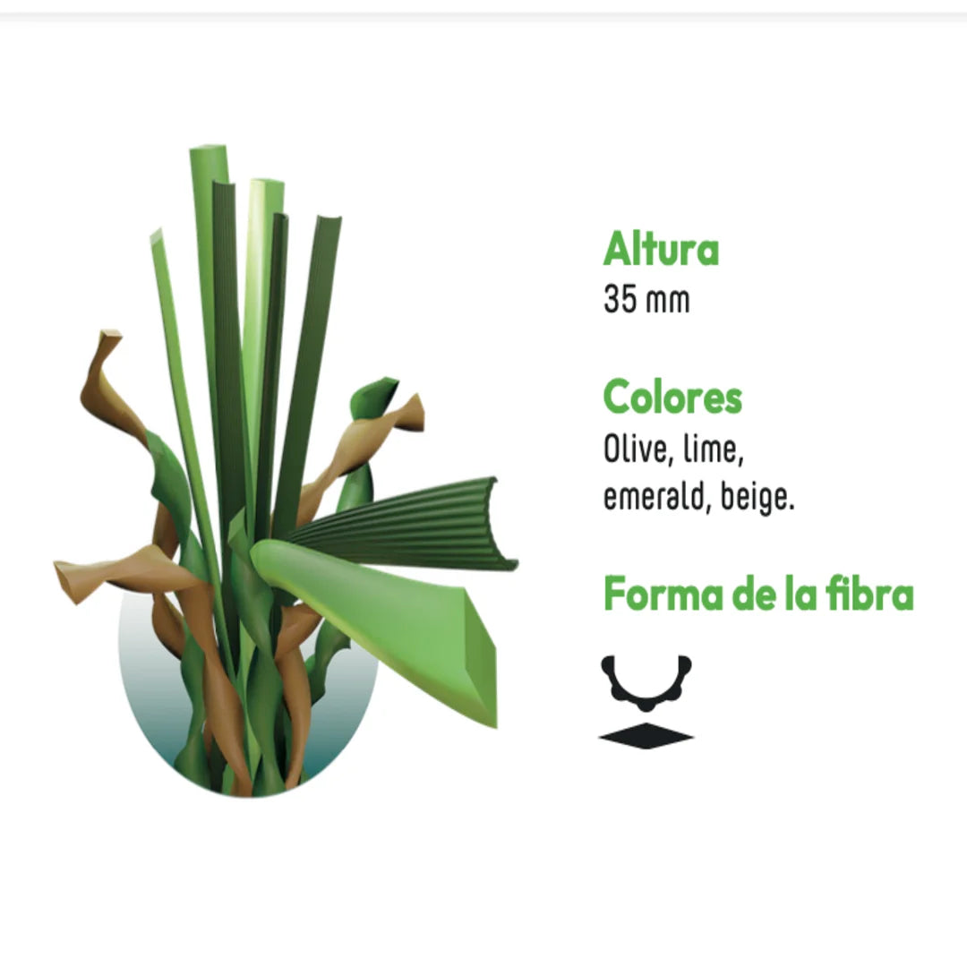 ALBERGRASS. Aberdeen Five 35