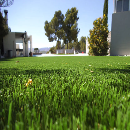 ALBERGRASS. Aberdeen Five 35