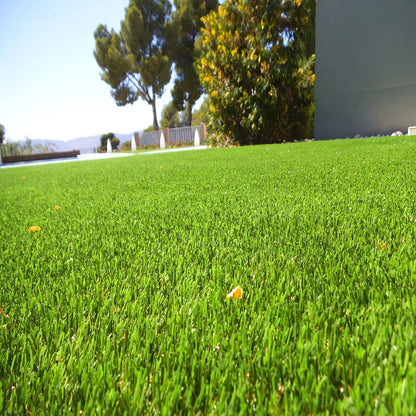 ALBERGRASS. Aberdeen Five 35