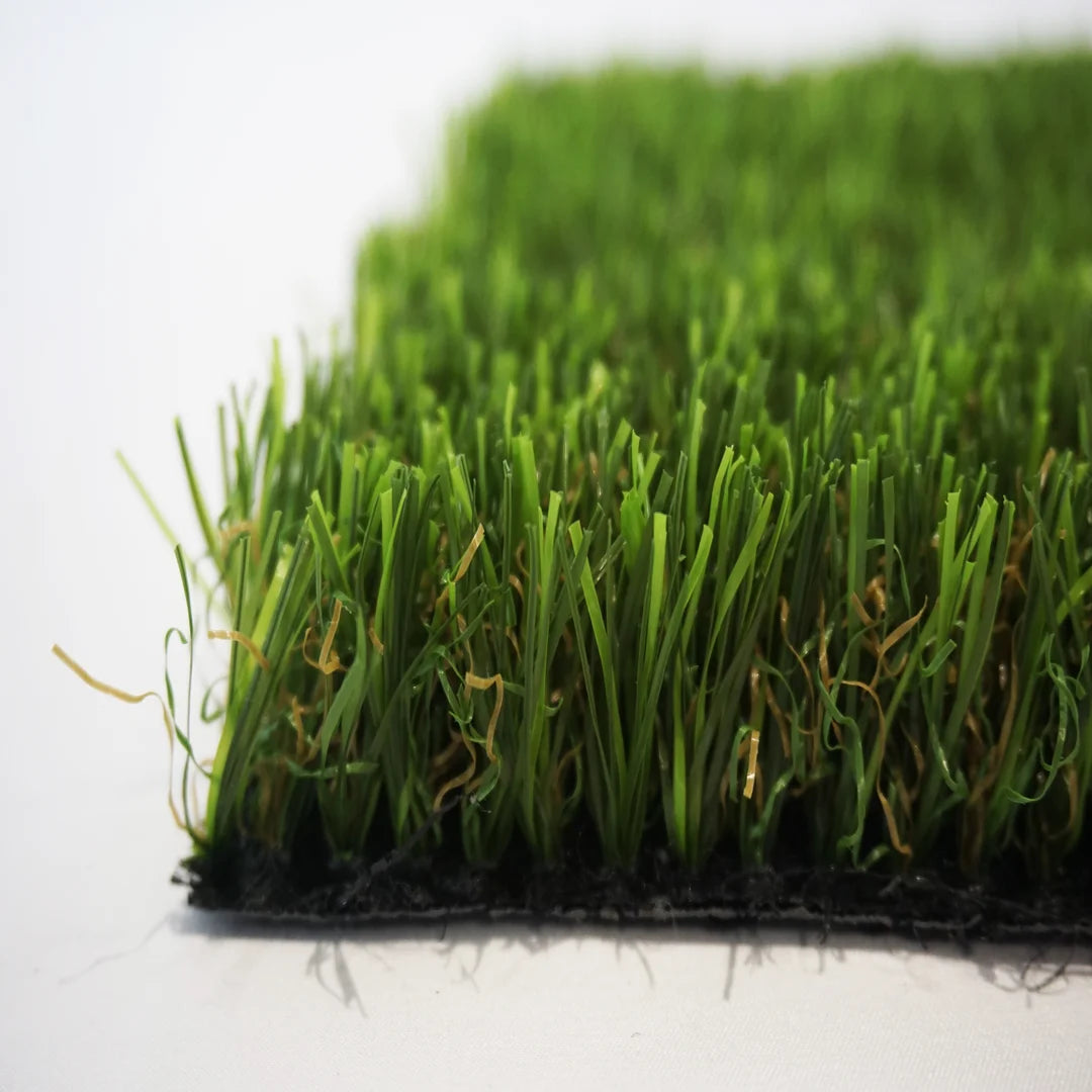 ALBERGRASS. Borneo 30