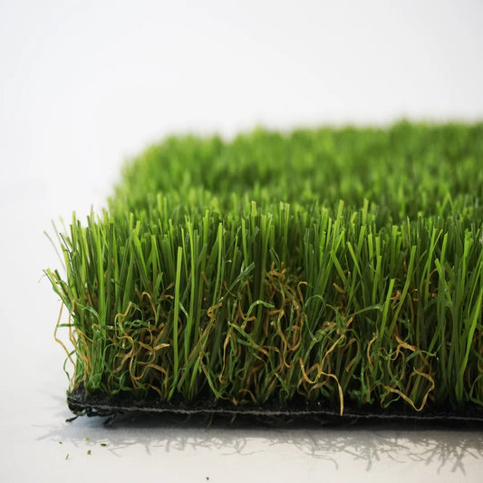 ALBERGRASS. Borneo 35