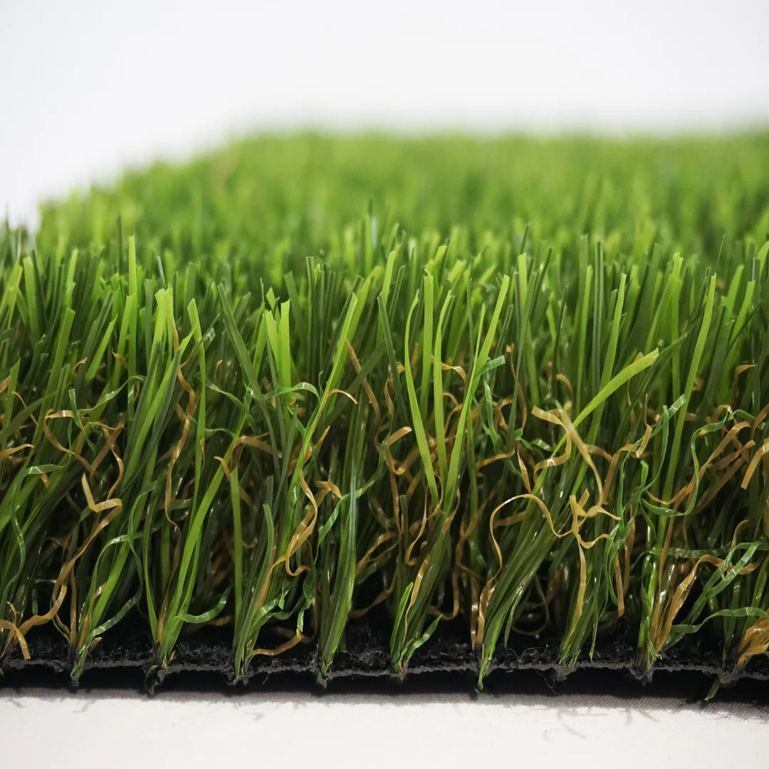 ALBERGRASS. Borneo 35