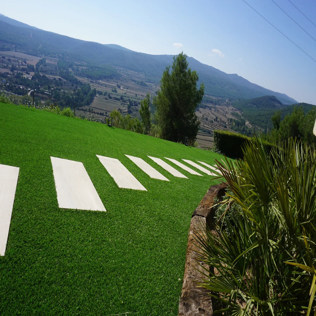 ALBERGRASS. Borneo 35