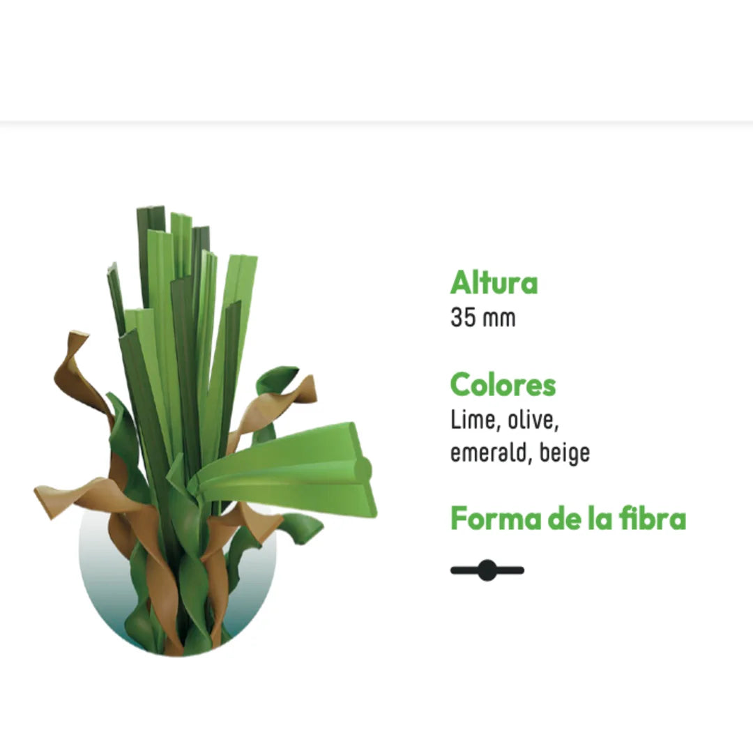 ALBERGRASS. Borneo 35