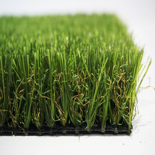 ALBERGRASS. Borneo 40