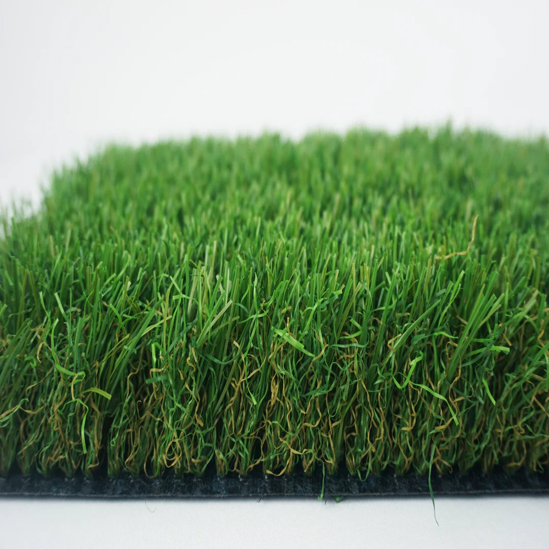 ALBERGRASS. Haizea 50