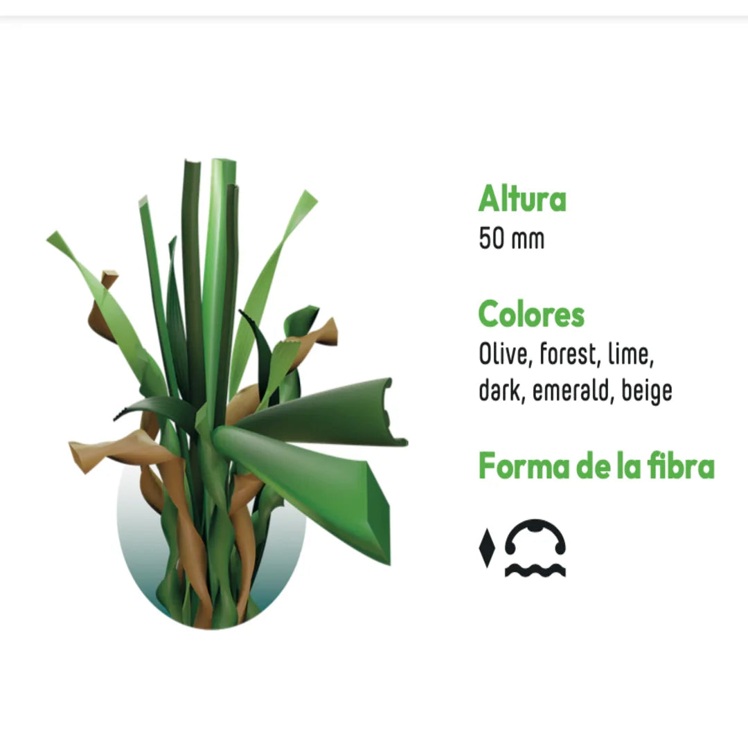 ALBERGRASS. Haizea 50