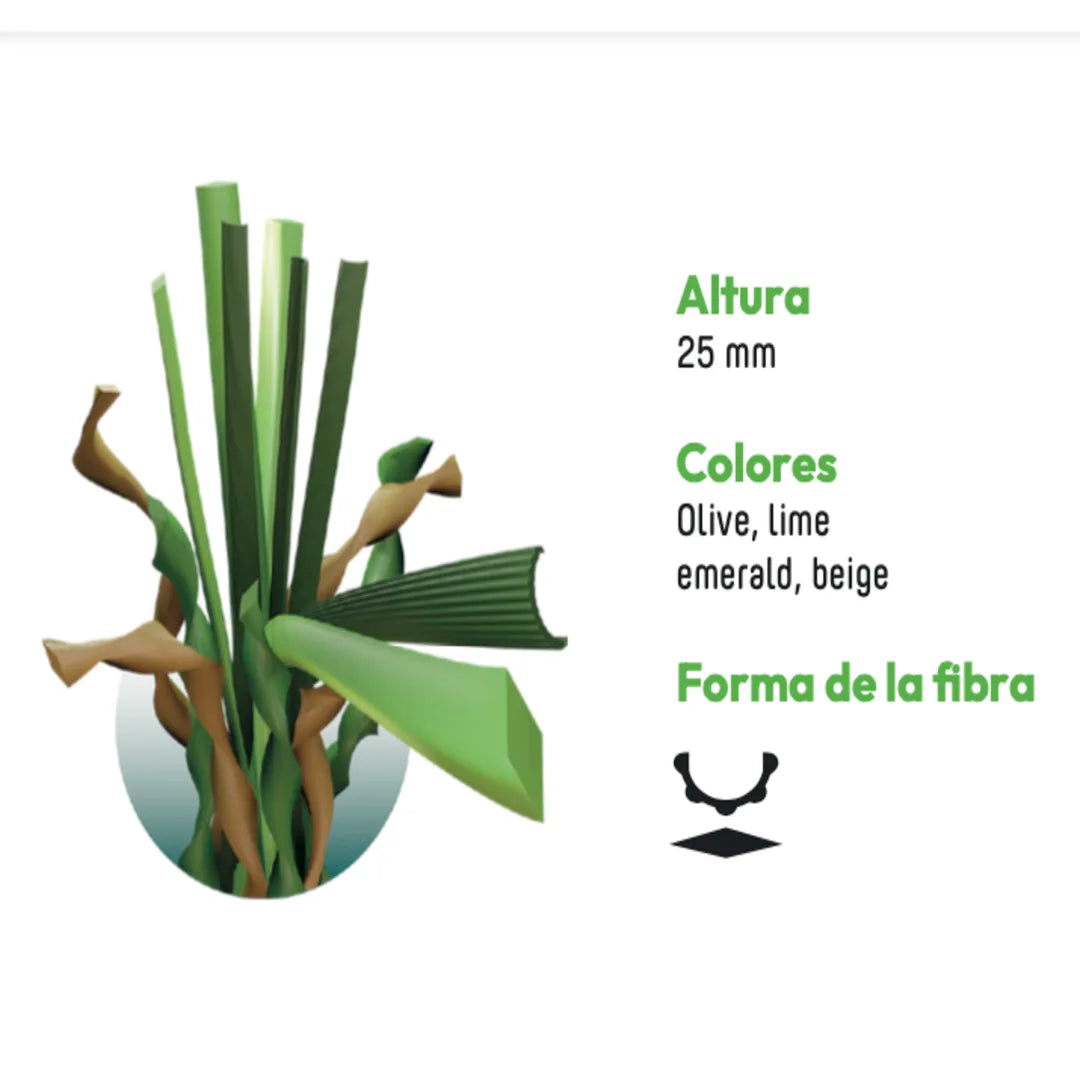 ALBERGRASS. Inverness 25
